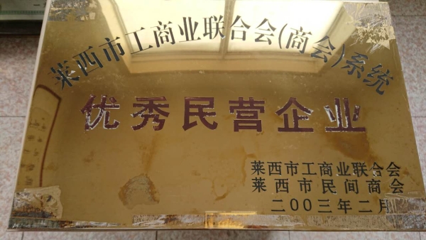 莱西工商联优秀民营企业